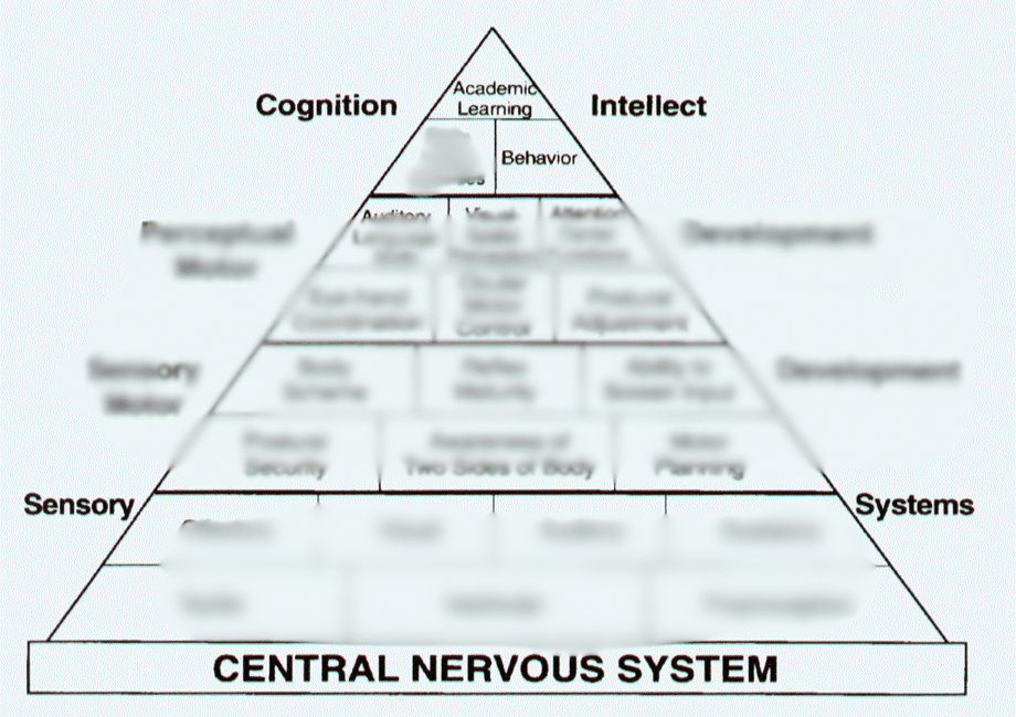 Sensory Smart Classroom professional development training and workshops